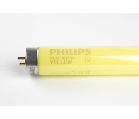 BÓNG YELLOW LAMP 36W/16 